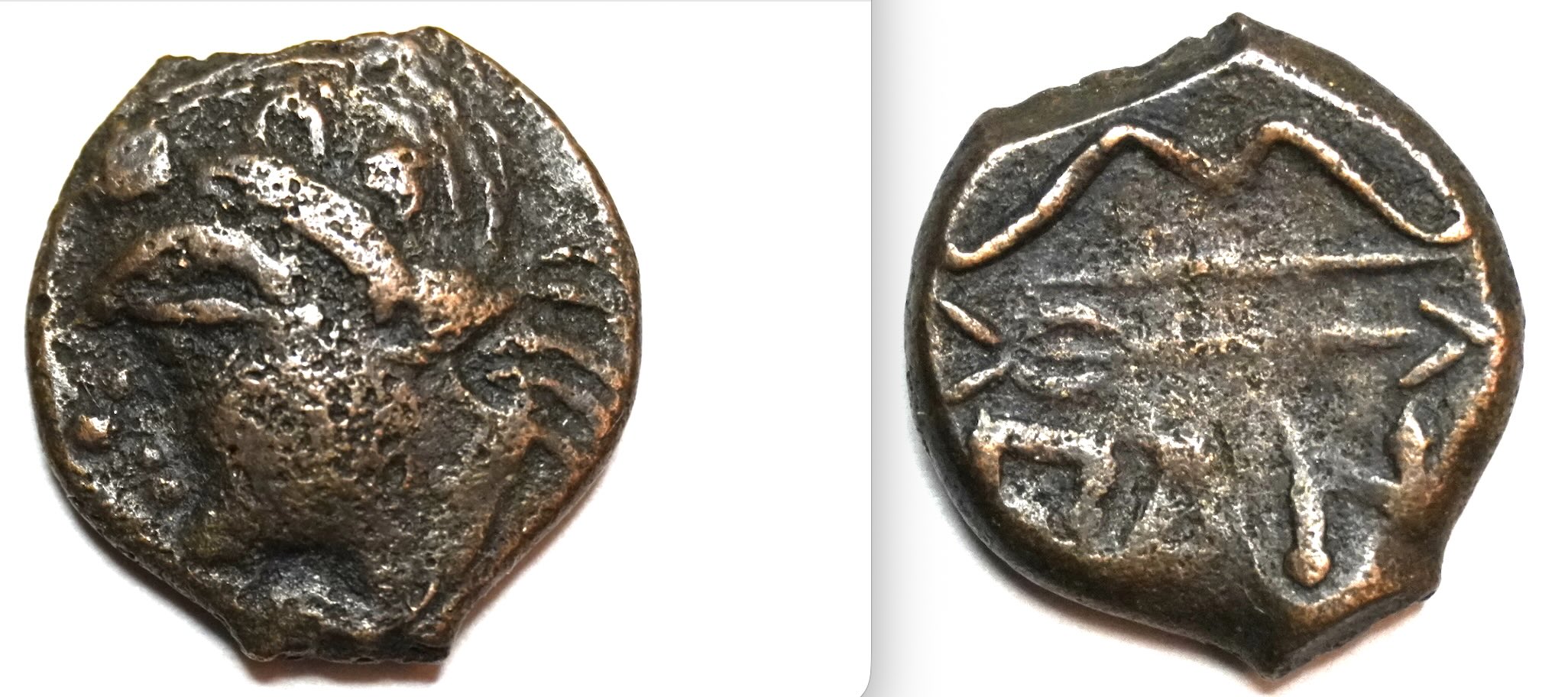 Genuine-Greek-Pantikapaion/Pan-Or-Fake?