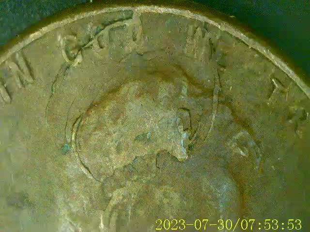 1952-Wheat-Cent-Retained-Cud-And-Pre-Cud