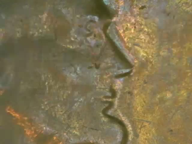 1965-Lincoln-Cent-Capped-Die-Double-StruckorMd