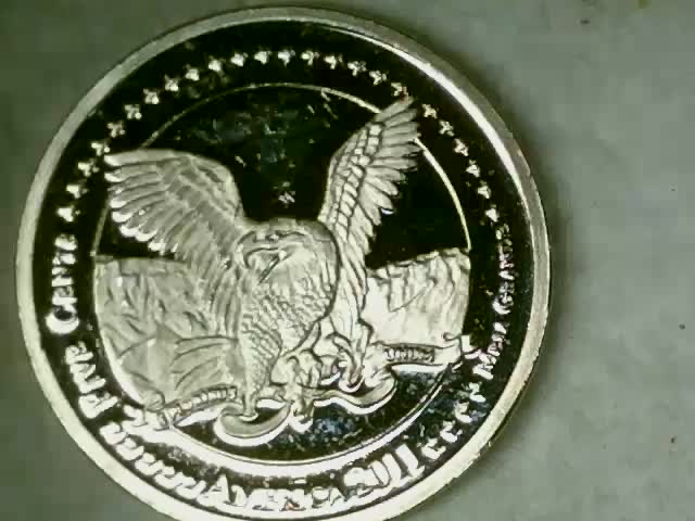 2011-Black-Hawk-Five-Cent-Medal