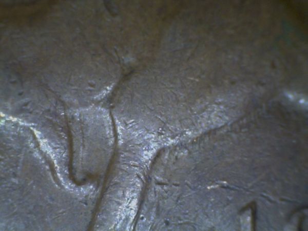 1963-Y.-Penny-Many-Legged-Roo