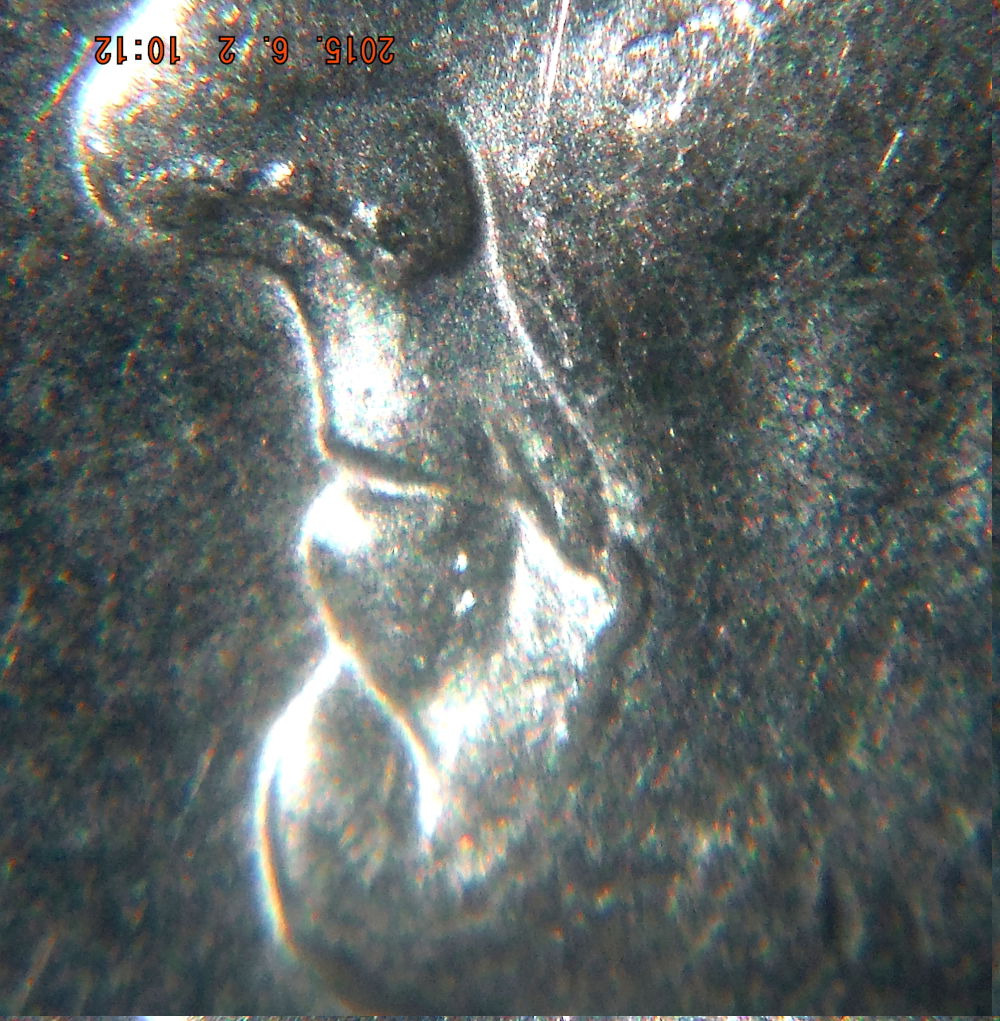 2006-P-Dime-Fu-Man-Chu