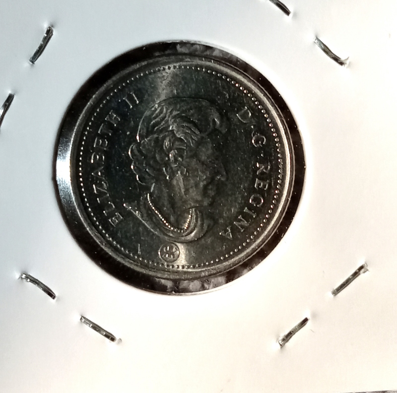 Loonies-Braces-Contest-Has-Begun.--Ends-17:00-Sunday-May-5th.