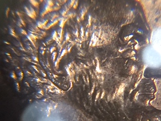 Is-Anything-Wrong-Here-?-2006-Lincoln-Penny