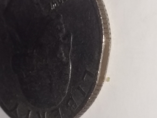 1973-Quarter-Damaged-Planchet-,-PMD-Or-Both?