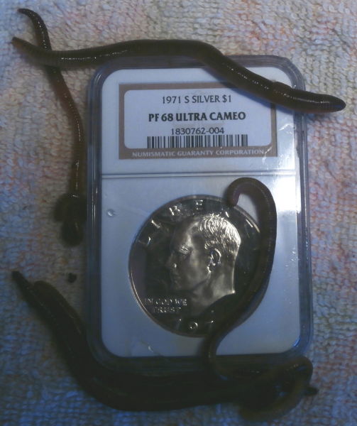 Post-An-Ike-Eisenhower-Dollar