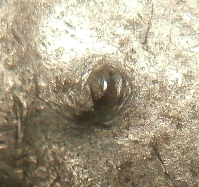 Need-Help-With-This-Odd-Cent