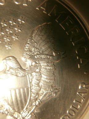 First-Bogus-NGC-MS-70-Slabbed-Coin..2008-REV-Of-07-Eagle-Wow!