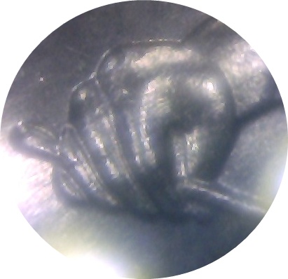 Cheap-Microscope-Suggestions
