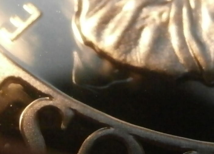 Seen-The-2015-US-Marshal-Commems?