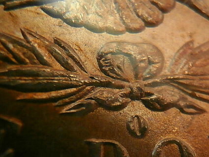 1883-O-VAM-36A-