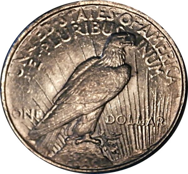 1924-P-Peace-Dollar-Lamination-Peel?