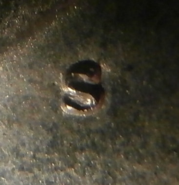 1971-S-BU-S/S-FS-501