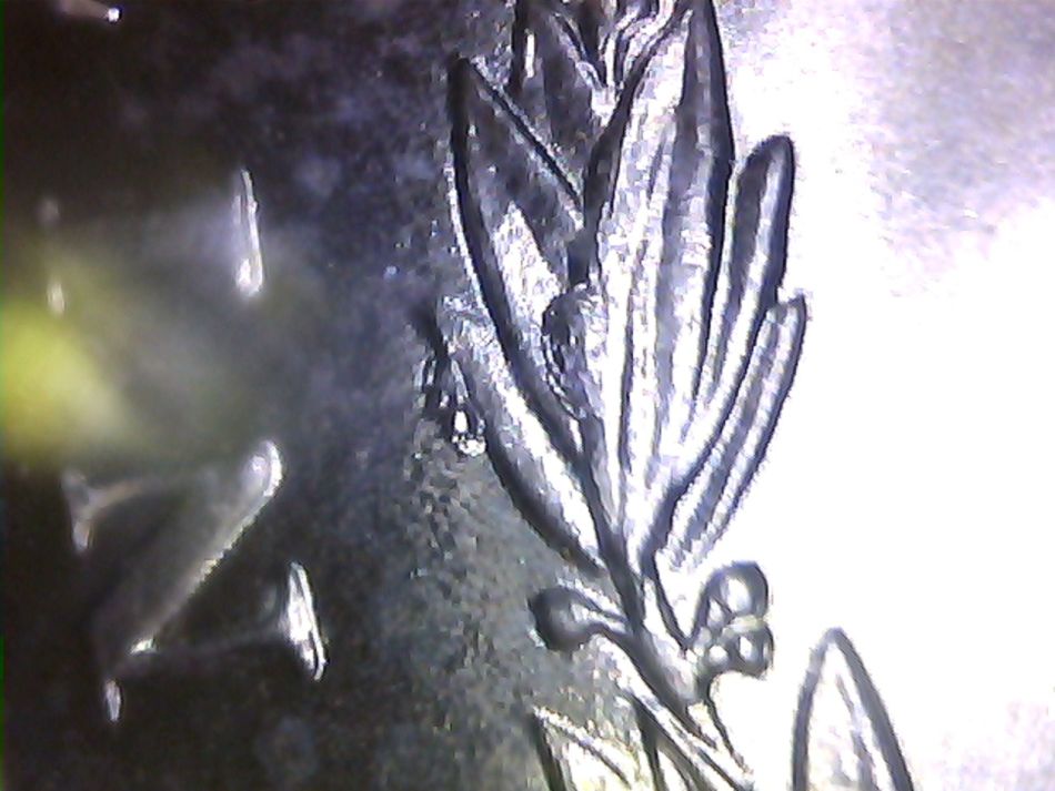1899-O-Morgan-Dollar--Die-Chips-Right-Upper-Wreath-Help-Please