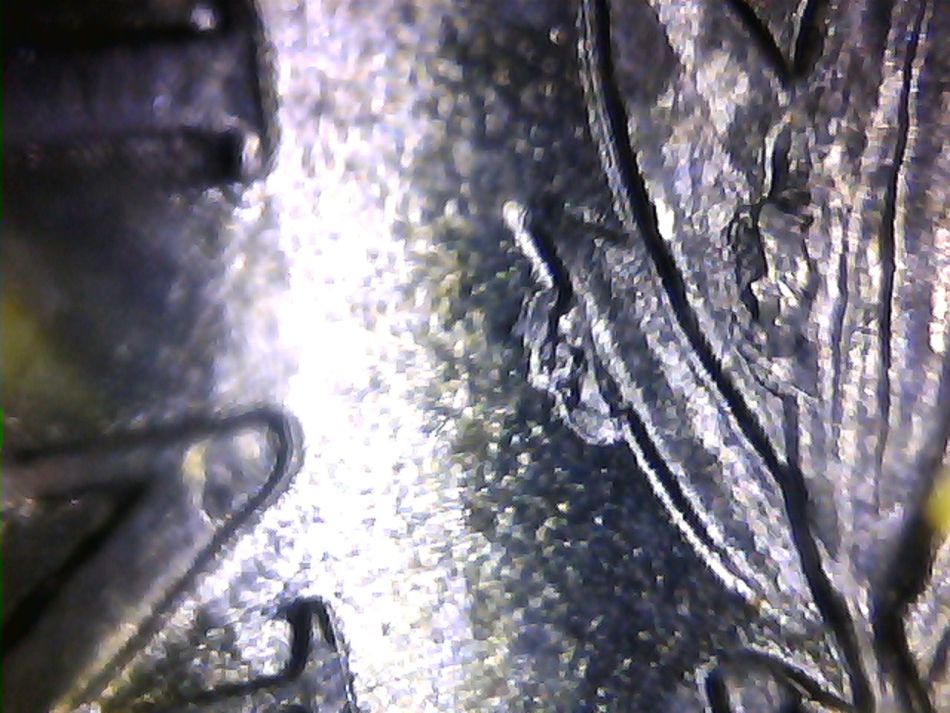 1899-O-Morgan-Dollar--Die-Chips-Right-Upper-Wreath-Help-Please