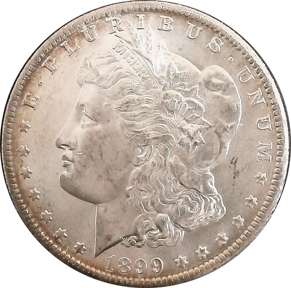 1899-O-Morgan-Dollar--Die-Chips-Right-Upper-Wreath-Help-Please