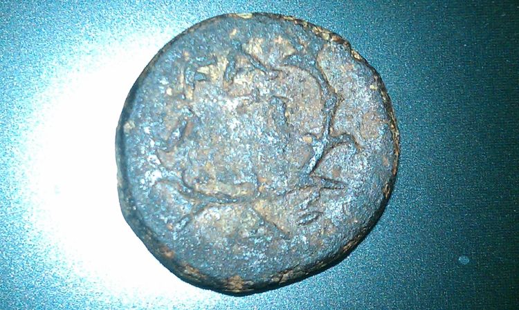 Rare?--Olympia,-Elis-Of-Peloponnesus-Coin