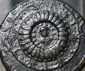 My-All-Time-Favorite-Tiberius-Dupondius-Clementiae
