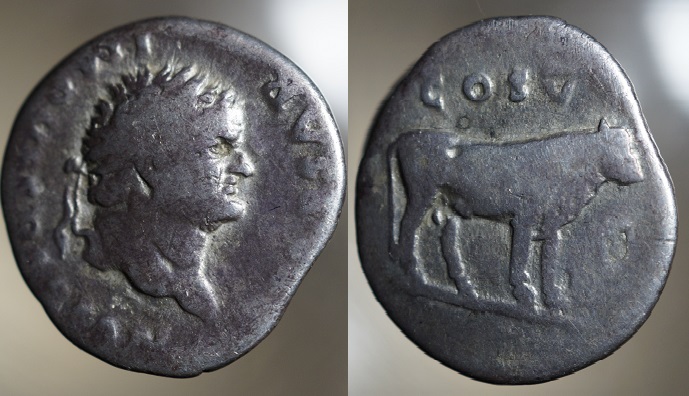 Titus-Bull-Denarius-Cos-V