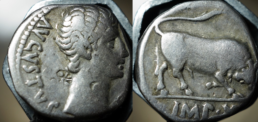 Denarius-Augustus-Bull-Imp-X