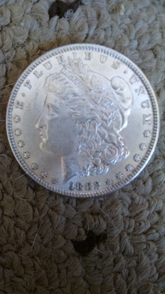1893-CC,-1892-CC,-1882-Morgans