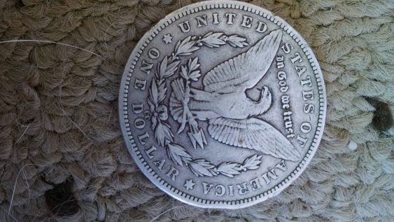 1893-CC,-1892-CC,-1882-Morgans