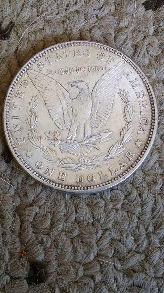 1893-CC,-1892-CC,-1882-Morgans