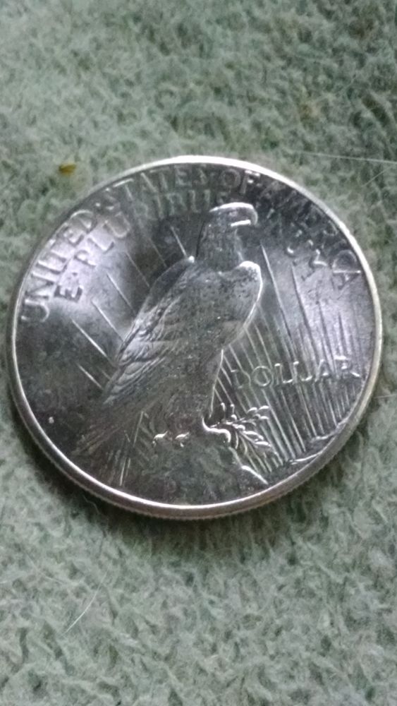 1878-REV-79-Morgan-And-1926-S-Peace-Dollar-Grades?
