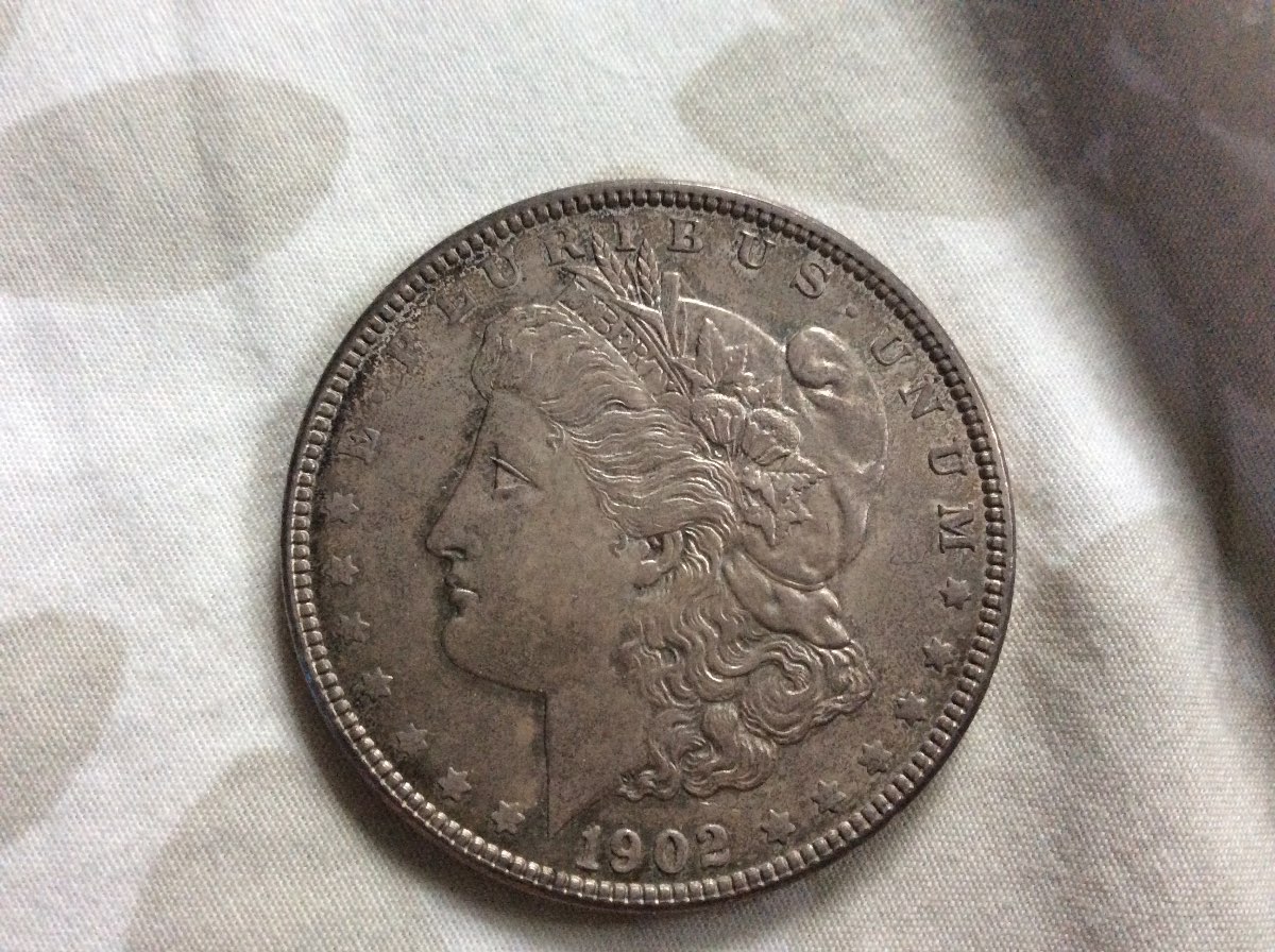 1902-Morgan-And-1824-Half-For-Grading