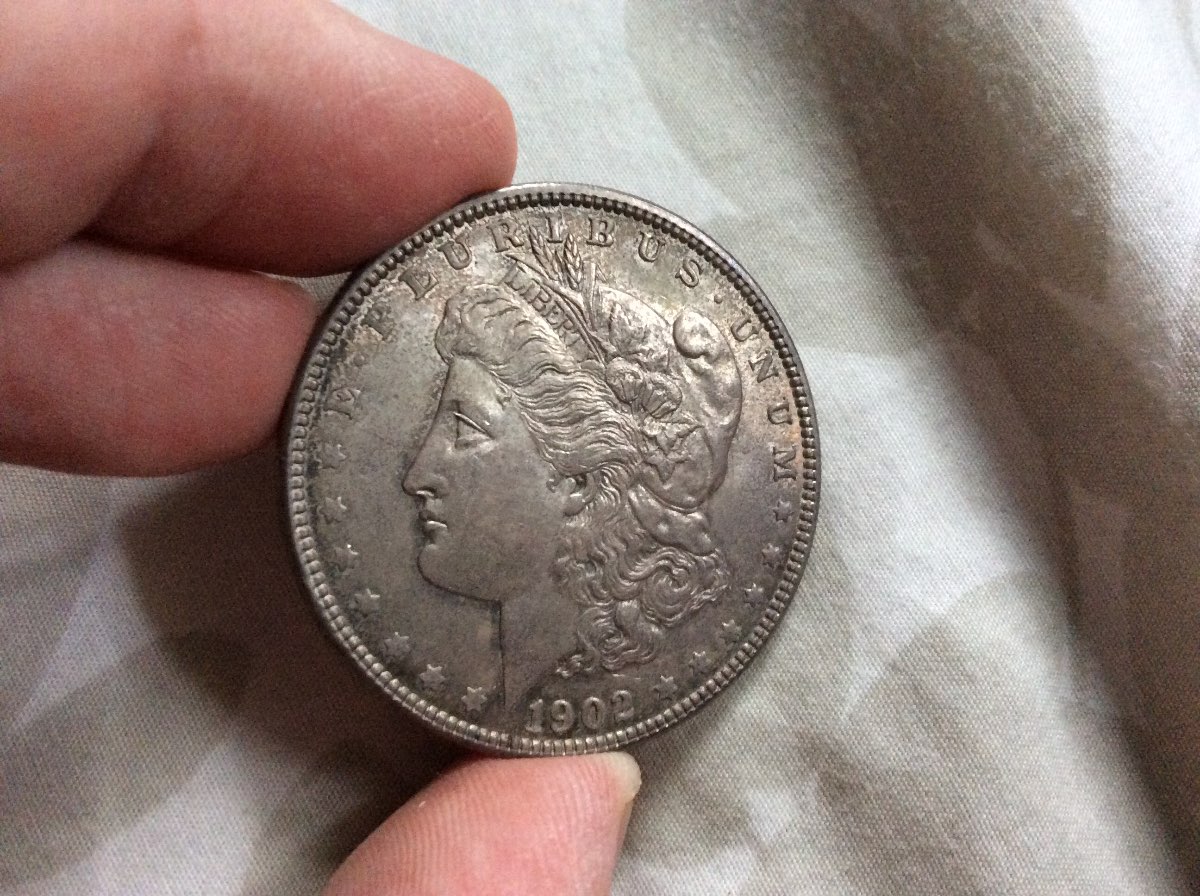 1902-Morgan-And-1824-Half-For-Grading