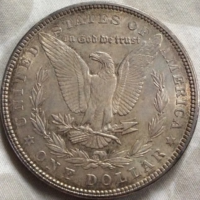 1902-Morgan-And-1824-Half-For-Grading