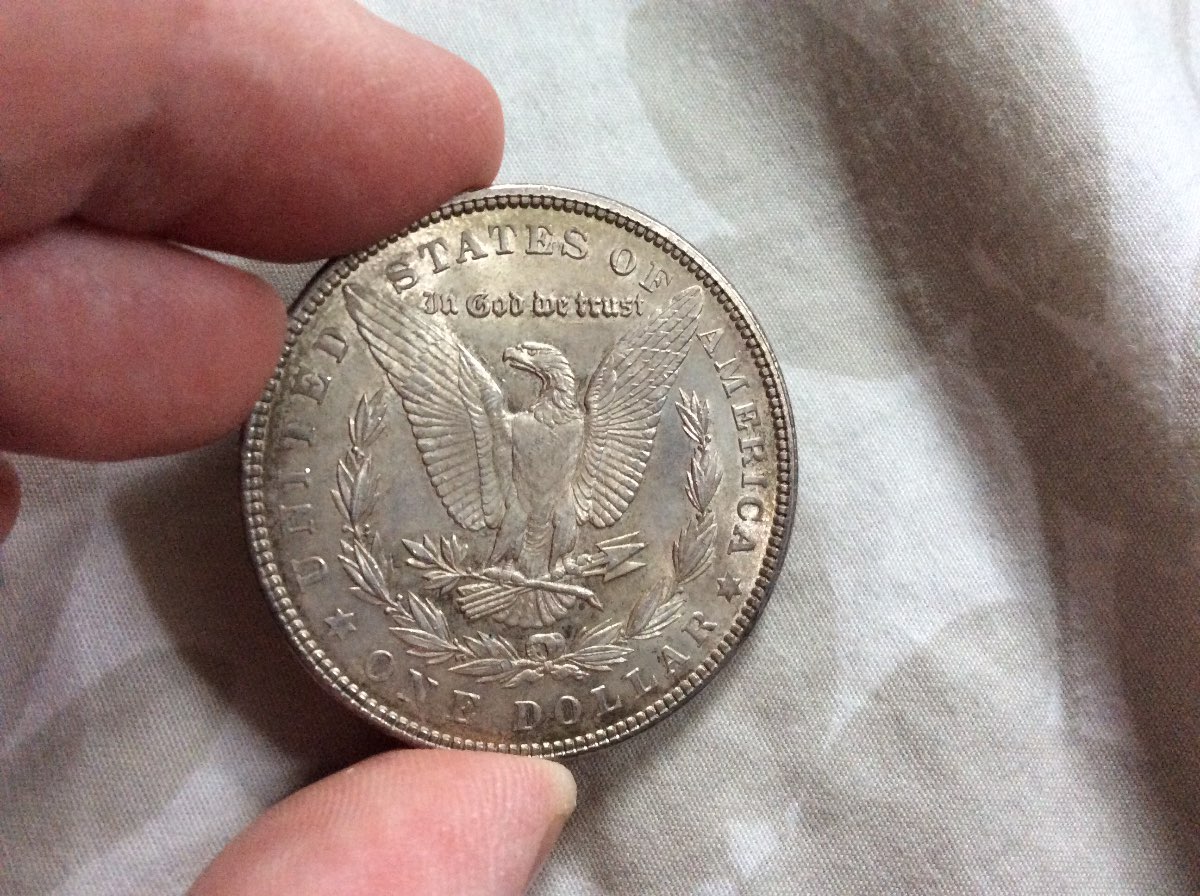 1902-Morgan-And-1824-Half-For-Grading