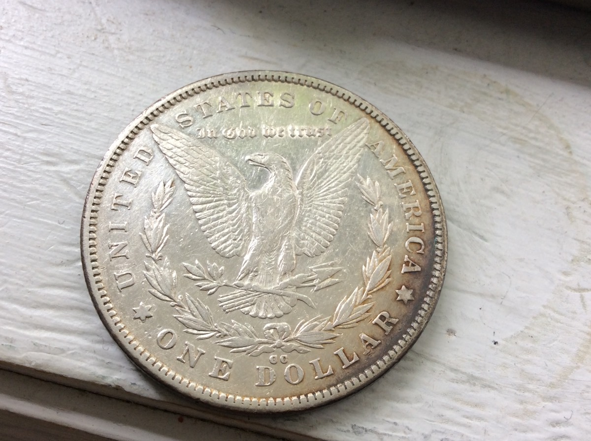 Nice-Morgan's-For-Grading