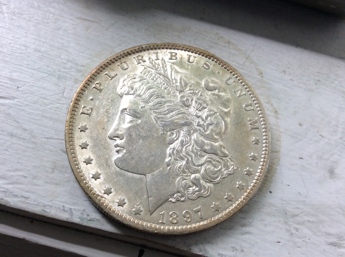 Nice-Morgan's-For-Grading