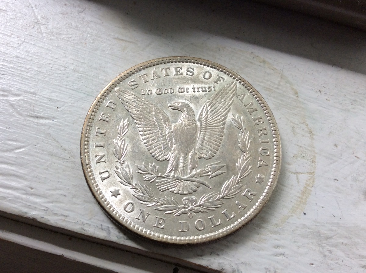 Nice-Morgan's-For-Grading