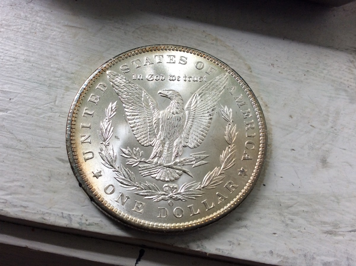 Nice-Morgan's-For-Grading