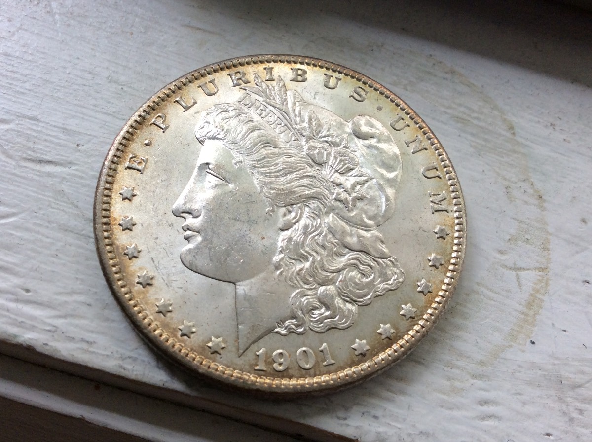 Nice-Morgan's-For-Grading