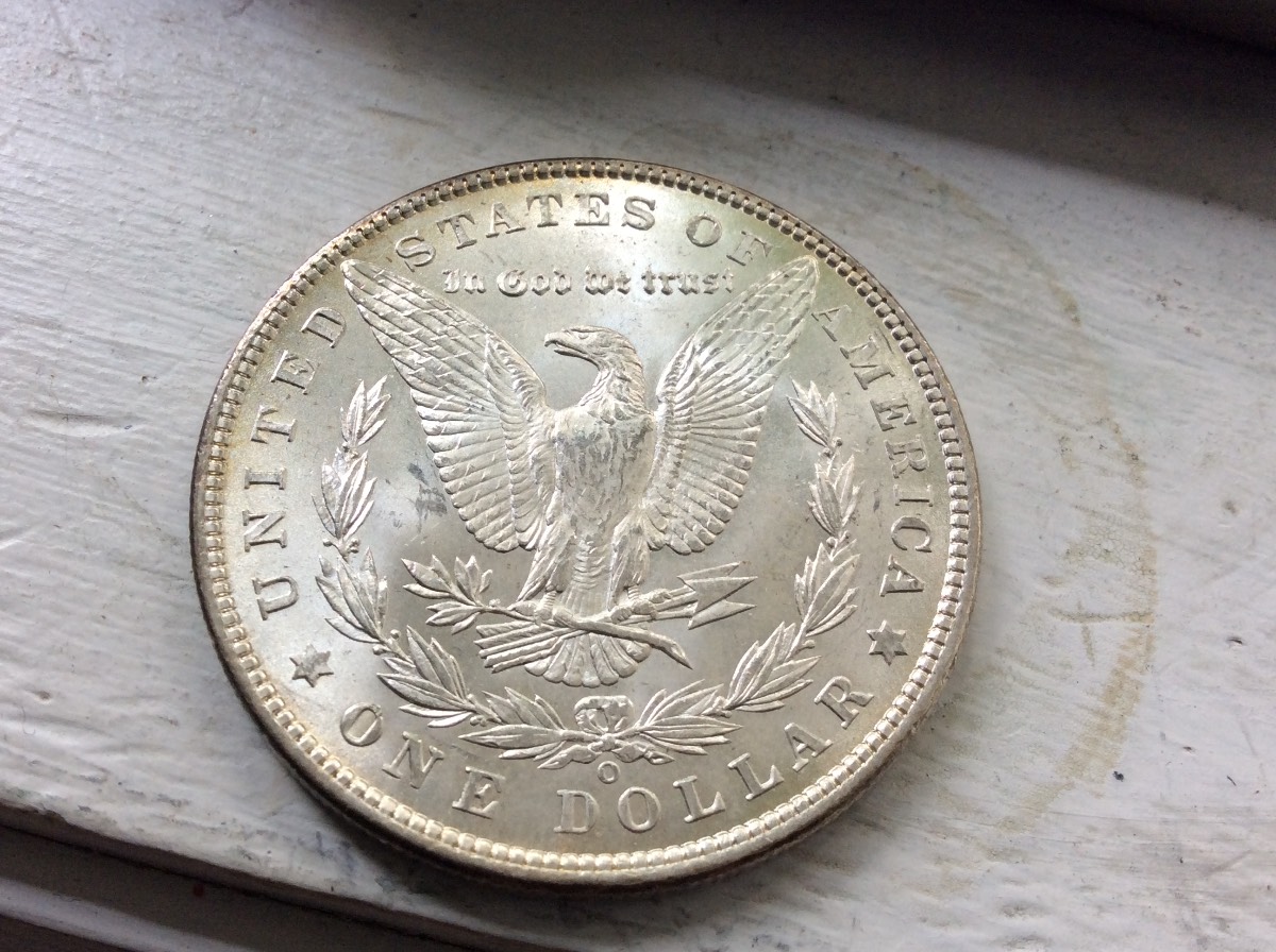 Nice-Morgan's-For-Grading
