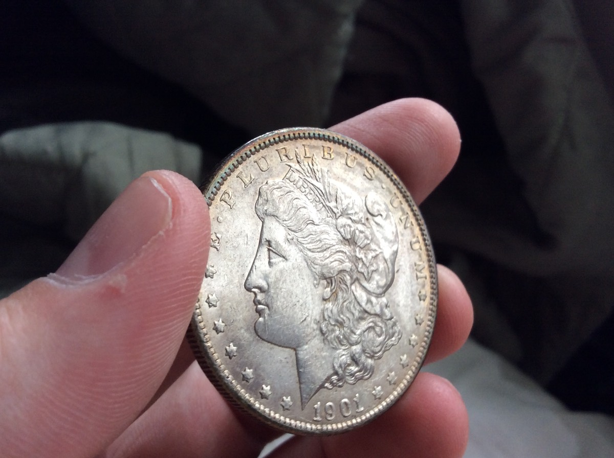 Nice-Morgan's-For-Grading