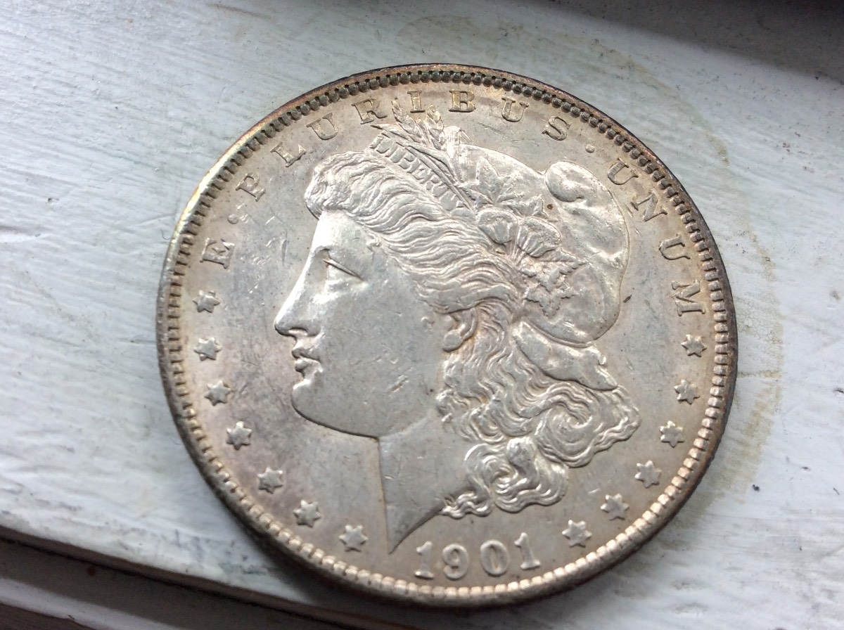 Nice-Morgan's-For-Grading
