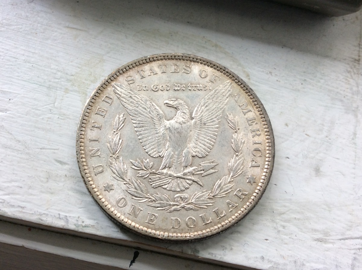 Nice-Morgan's-For-Grading