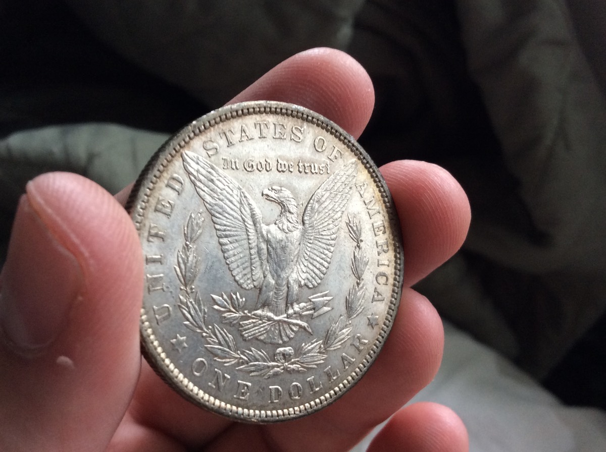 Nice-Morgan's-For-Grading