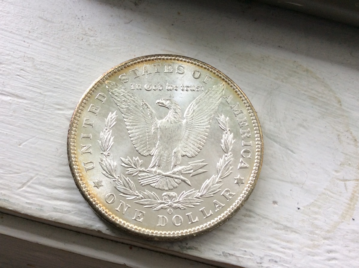 Nice-Morgan's-For-Grading
