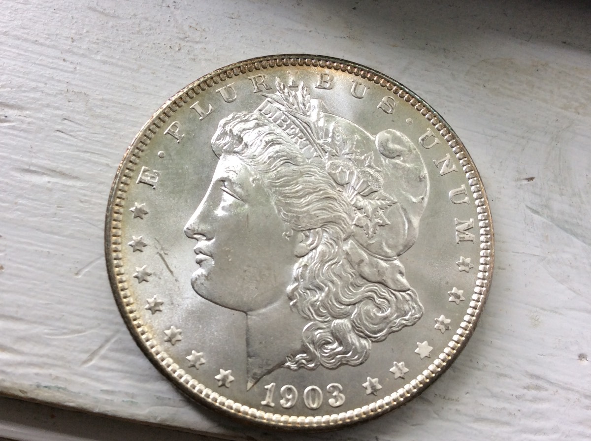Nice-Morgan's-For-Grading