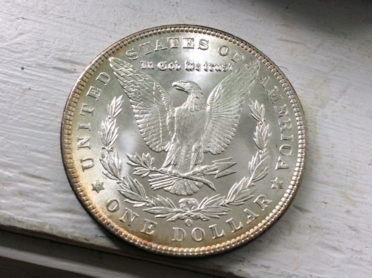 Nice-Morgan's-For-Grading
