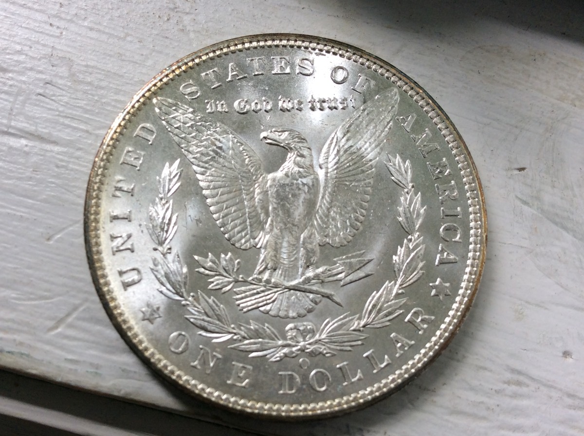 Nice-Morgan's-For-Grading