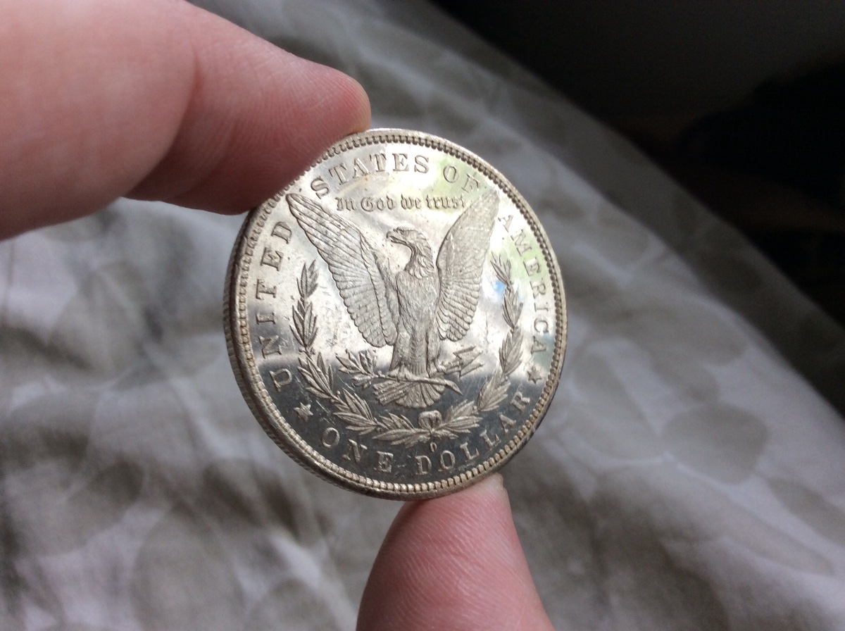 1881-S-And-1882-O-Morgan-For-Grading