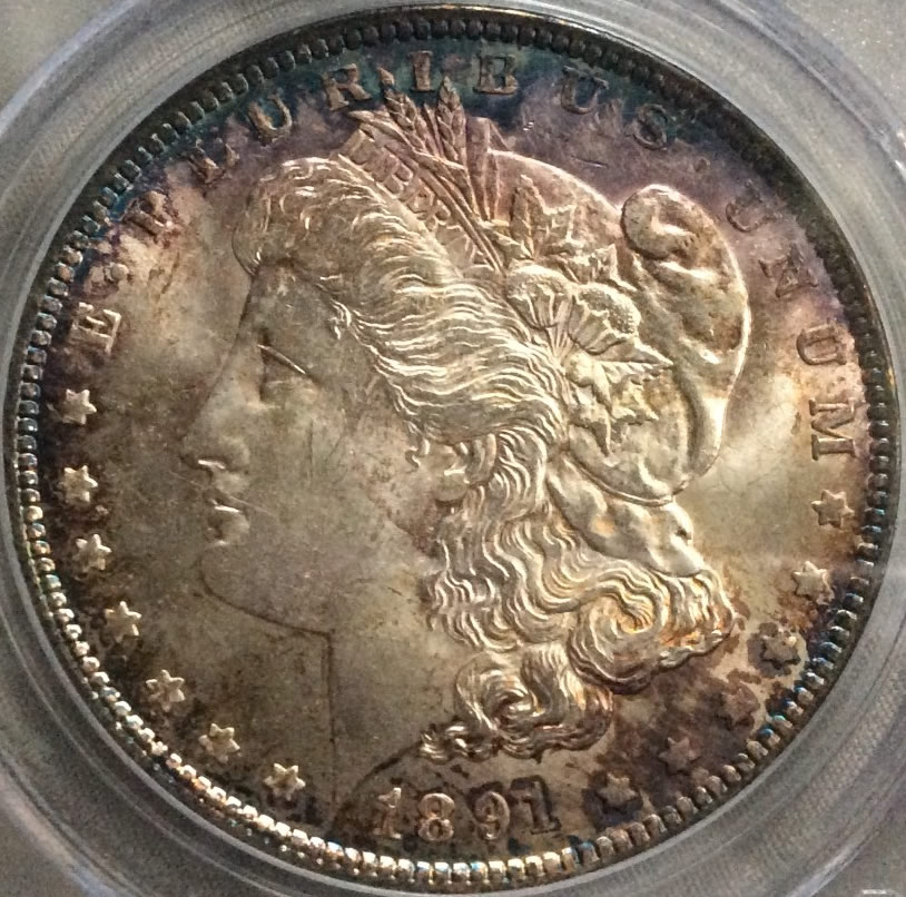 1891-Morgan-For-Grading