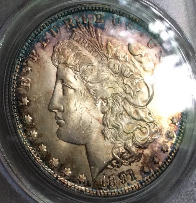 1891-Morgan-For-Grading