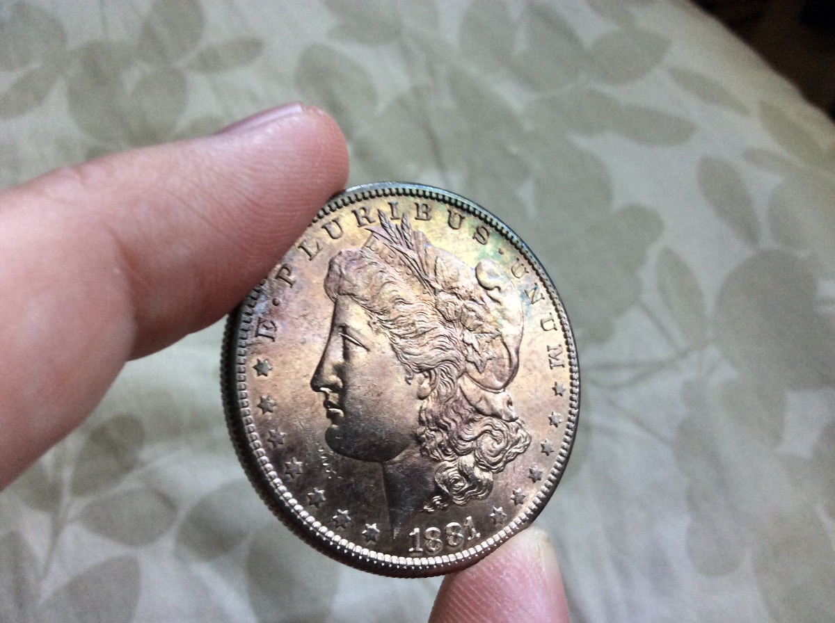 3-Toned-Morgan's-For-Grading-All-Raw